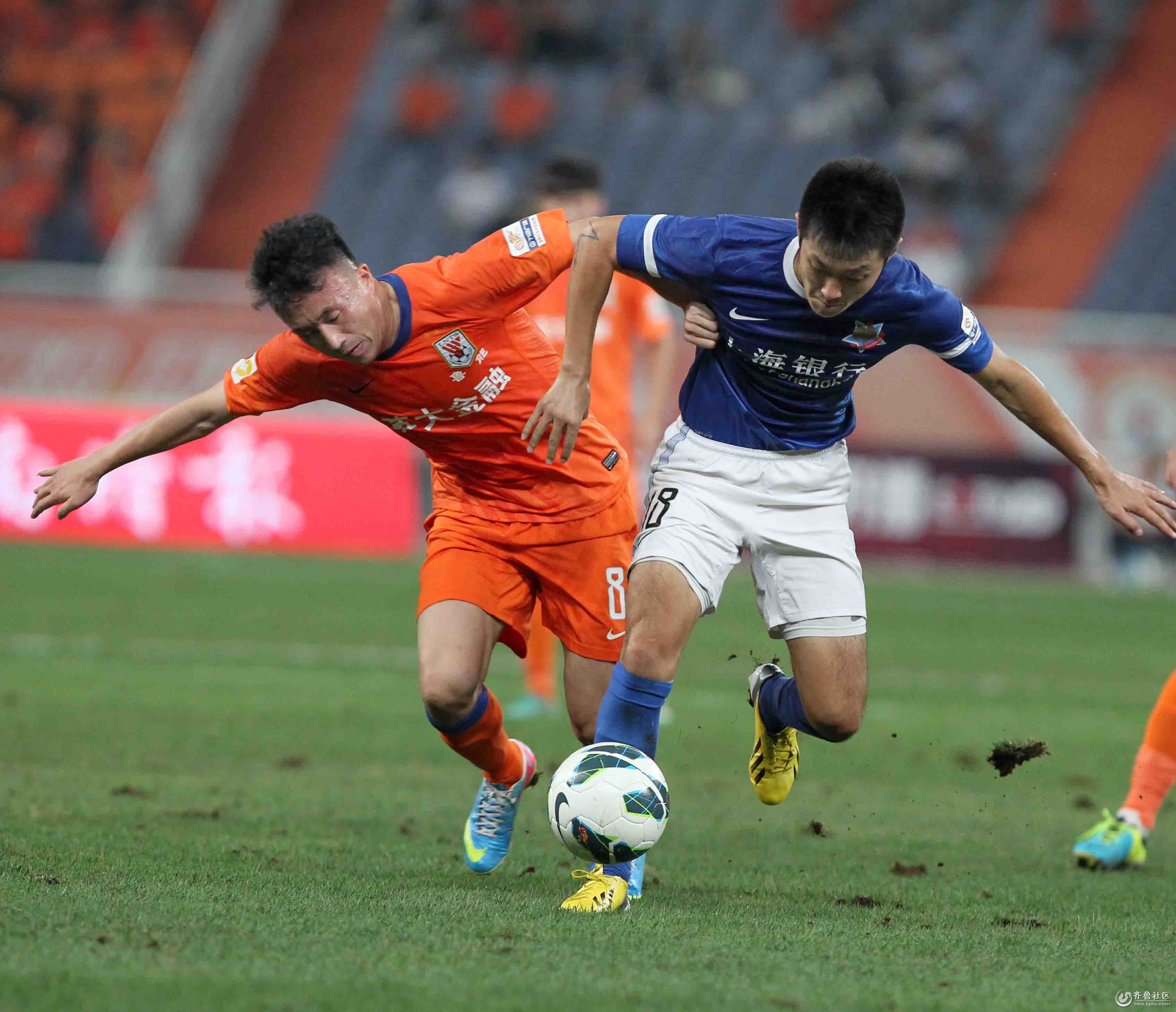 的安全网 的安全网