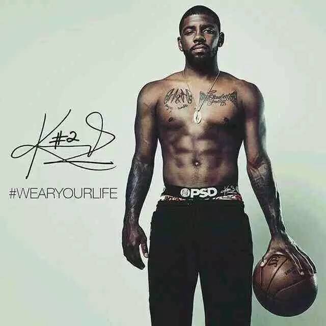 完整度高 完整度高